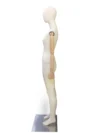 xintu-fabric-full-body-female-styled-03-side.webp 白色漆面女性全身模特,側視圖