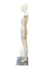 xintu-fabric-full-body-female-styled-12.webp 白色塗裝女性全身模特兒